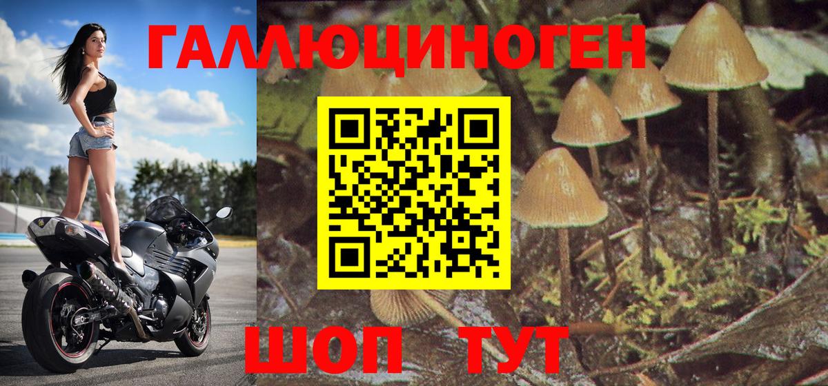 Галлюциногенные грибы MAGIC MUSHROOMS  Вход с VPN  Ноябрьск 